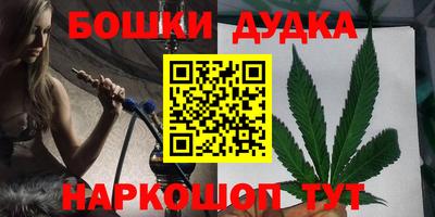 мдпв Обь
