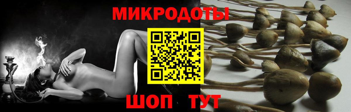 Псилоцибиновые грибы Psilocybine cubensis  Галлюциногенные грибы MAGIC MUSHROOMS  Астрахань  Вход с VPN 